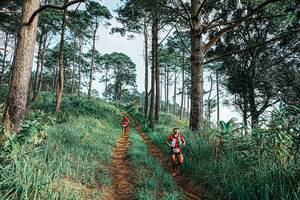 BIB: 
                            <button type="button" onclick="openModal(25652469)" class="btn btn-primary btn-sm float-right btn-popup" data-toggle="modal" data-target=".modal-high-quality">
                        <i class="fas fa-shopping-cart"></i> Add to Cart
                    </button>
                                            <button type="button" onclick="isThisMe(25652469, true)" class="btn btn-success btn-sm float-right btn-popup btn-isme hidden" data-toggle="tooltip" data-placement="bottom" title="นี่คือรูปของคุณใช่ไหม คลิกที่นี่เพื่อเอาเข้าอัลบั้ม">
                        <i class="fas fa-plus"></i> Add to album
                    </button>
                    <button type="button" onclick="isThisMe(25652469, false)" class="btn btn-warning btn-sm float-right btn-popup btn-isnotme hidden">
                        <i class="fas fa-ban"></i> Remove from album
                    </button>